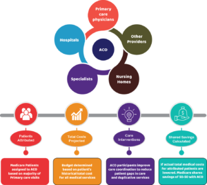 Accountable Care Organization – Synthesis HealthSoft